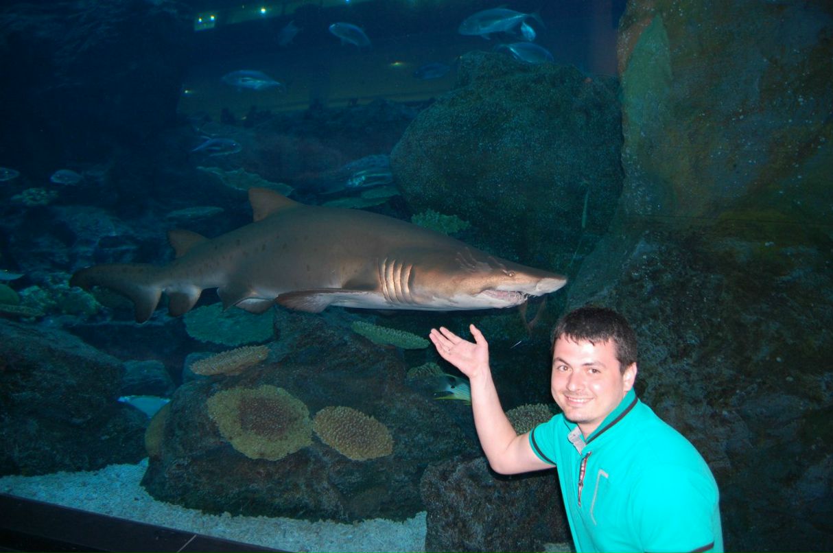 Светлана Данилейченко | Кременчуг