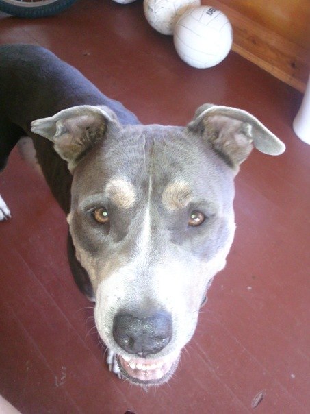 Ирина Терешонкова | Санкт-Петербург