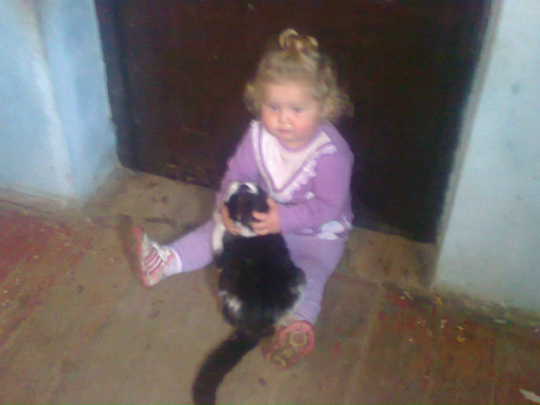 Галина Дика | Львов