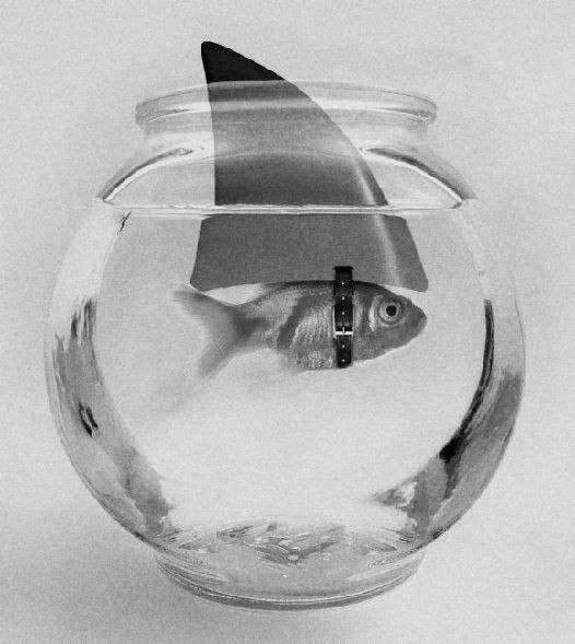 Дарья Степанова | Москва