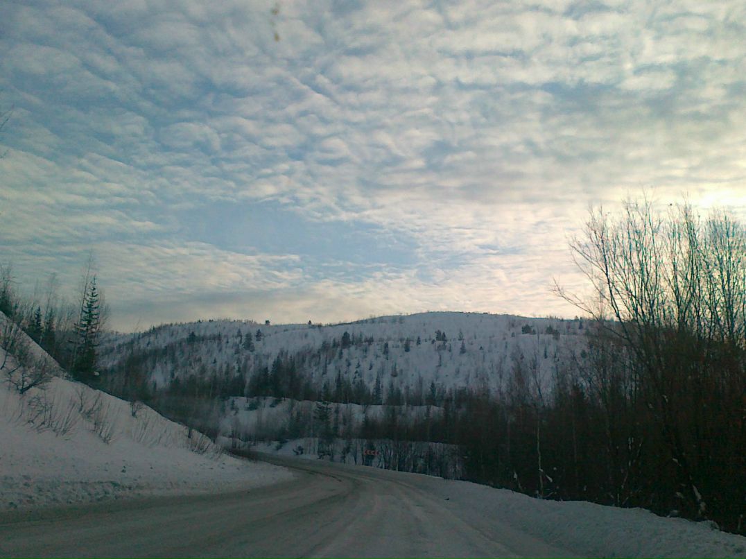 Артем Богданов | Пермь