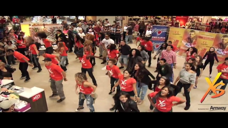 Flash Mob XS Energy Drink Westland