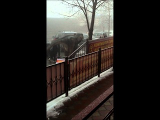 Живой динозавр!!!