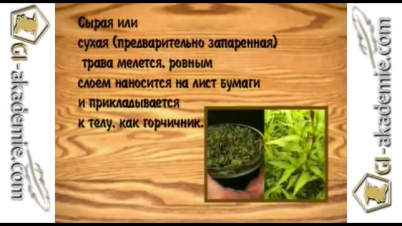 004 - Лечебные растения