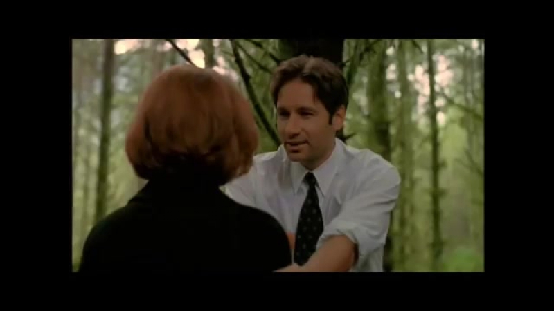 Mulder Scully I Love it When we