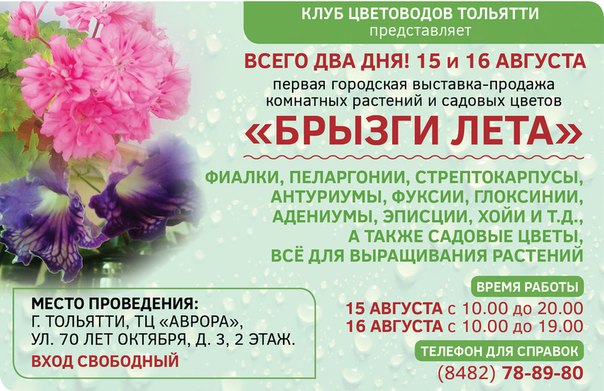 Интернет Магазин Растений Тольятти