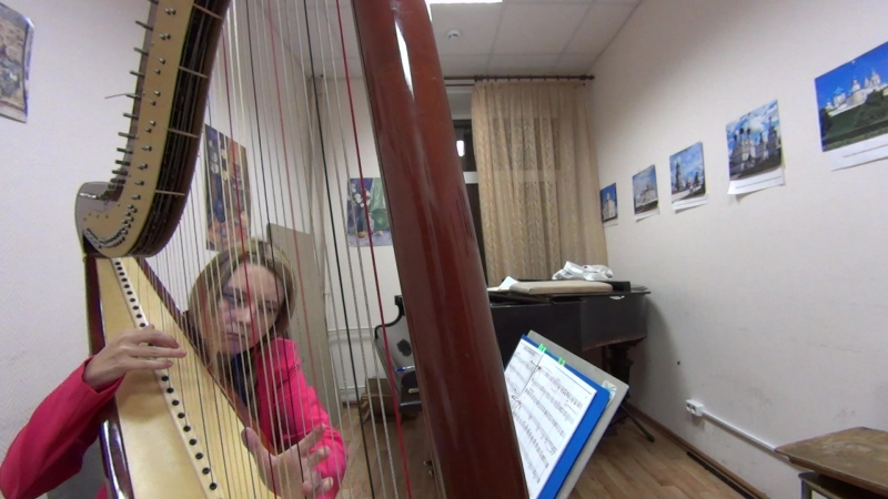 Hans Zimmer King of Pride Rock ( The lion King) Harp Cover (кавер на