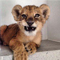 Артём Елагин, Россия, Оренбург