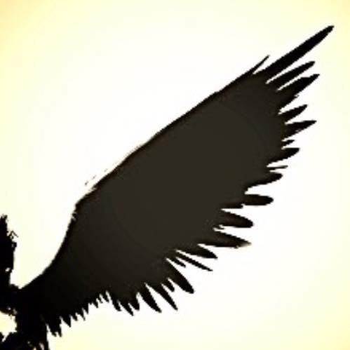 John Sanchez, Мексика, México