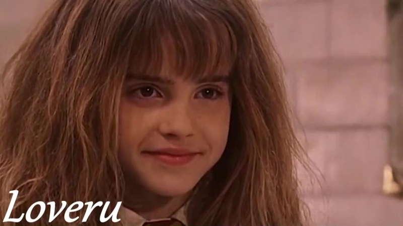 Harry Potter, Гарри Поттер (Драко и Гермиона)