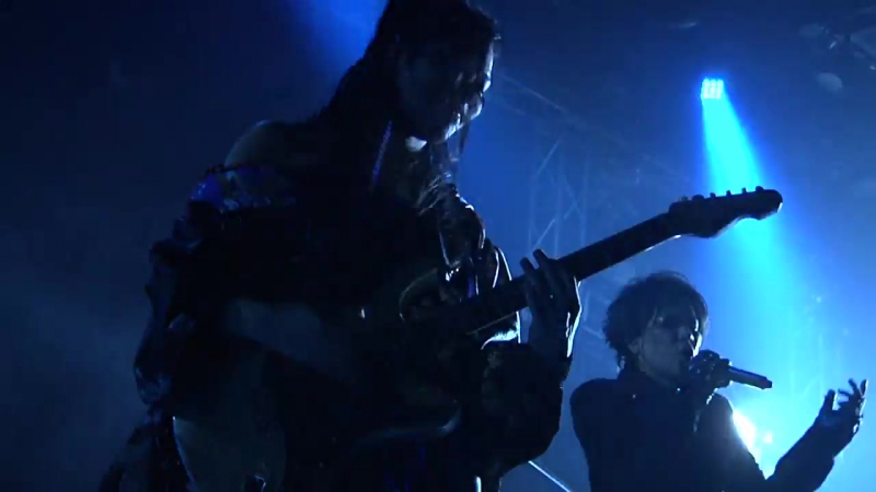 C4 Burn Black Butterfly ( Nirtous ORGA at 新宿 Re