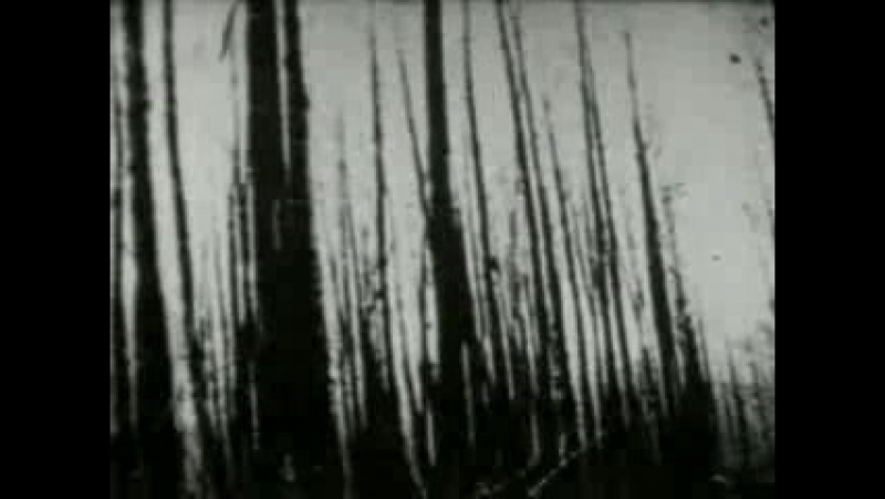 Silencer Sterile Nails And Thunderbowels