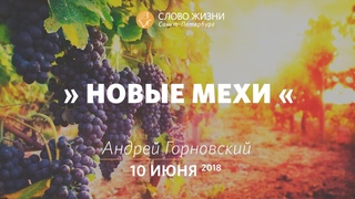 “Новые мехи“ - Андрей Горновский, “Слово Жизни“, г. Санкт-Петербург
