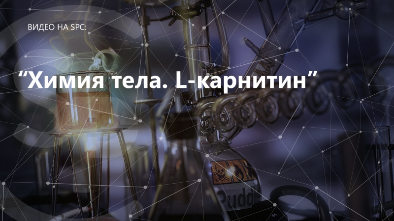 Химия тела. L карнитин ( L carnitine) для