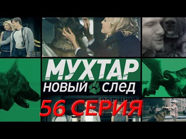 "Мухтар. Новый след". 56 серия. "Обжора"