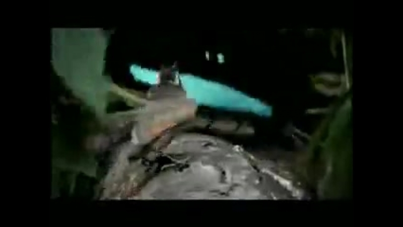 BBC Planet Earth trailer OPEN YOUR