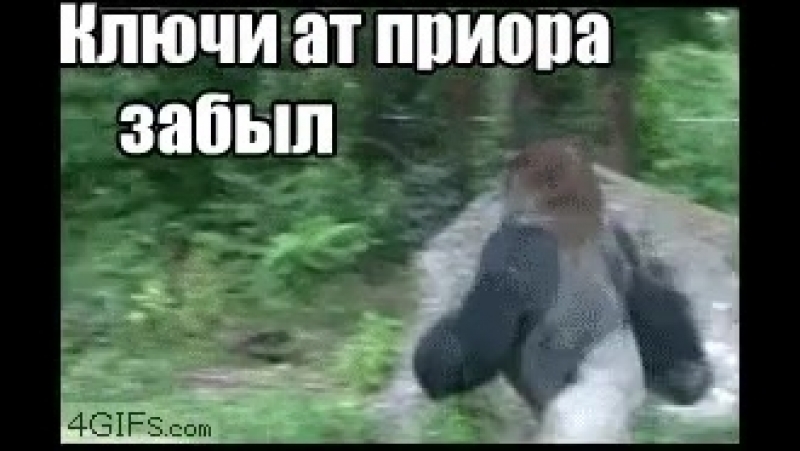 продолжит гифка забыл ключи от приора забыл может питаться как