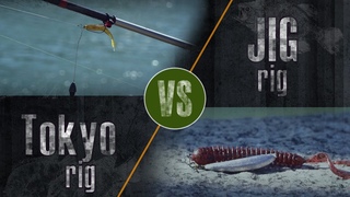 Tokyo rig VS Jig rig.  Ловля окуня перед нерестом.