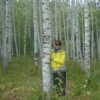 Аватар: Ольга Кушнарева(тикунова)