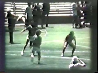 1975 World Frisbee Championships: Ultimate