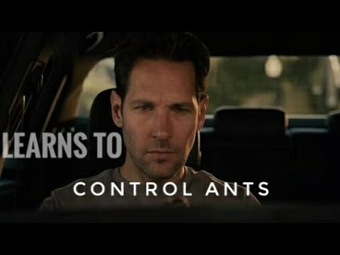 Scott Learns to control Ants, ANT MAN