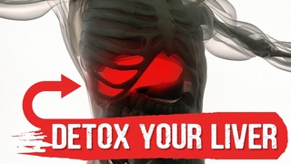 A Surprising Way to Cleanse a Fatty Liver