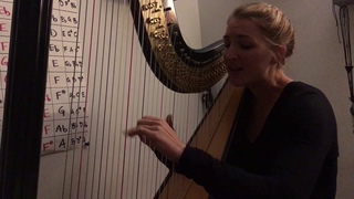Chelsie Rose cover of What Am I Here For by Jade Bird on harp