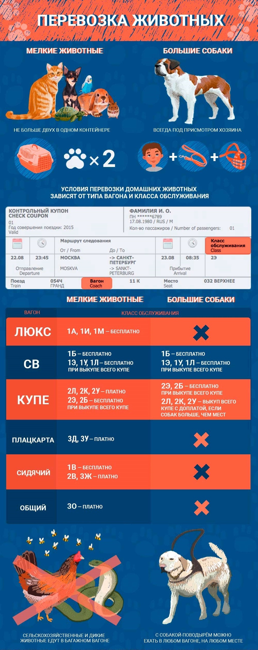 Как провозить животных в поезде по всем правилам, изображение №2