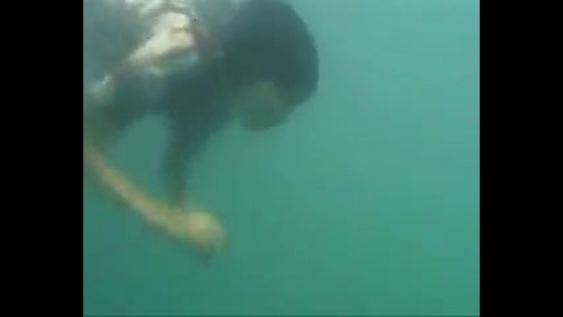 Телефон лучше