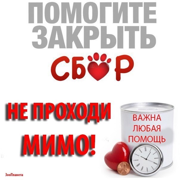 Помогите закрыть сбор картинки