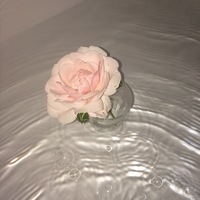 sᴛʀᴀᴡʙᴇʀʀʏ sᴋʏ
