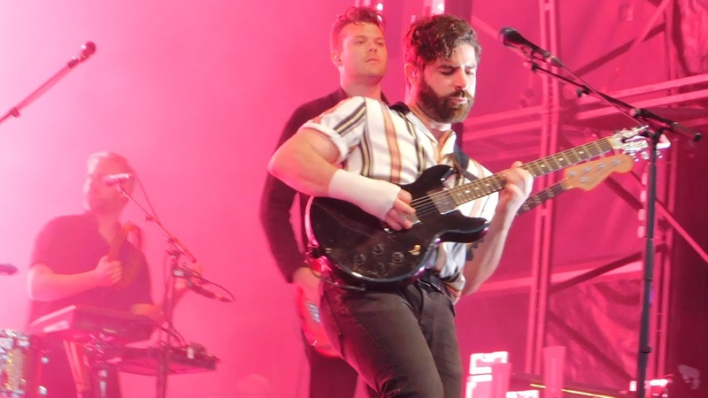 Foals Black Bull