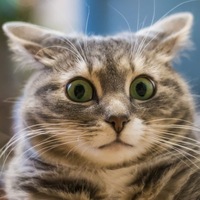 Александр Александров