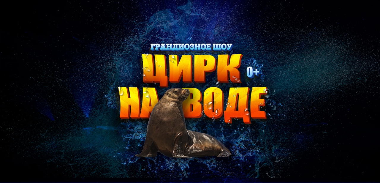 Афиша Махачкала Цирк на воде Махачкала 2019