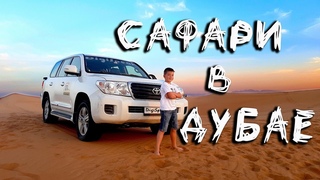 Отдых в ОАЭ. Джип сафари в пустыне.  Обзор экскурсии. Dubai Desert Safari.