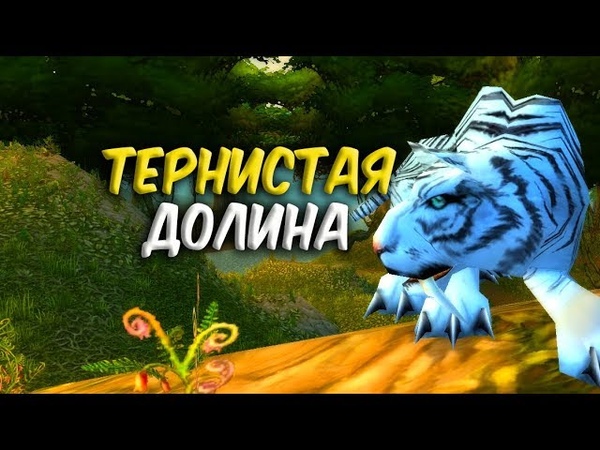 World of Warcraft Classic Тернистая