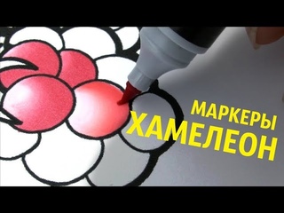 Необычные маркеры Хамелеон