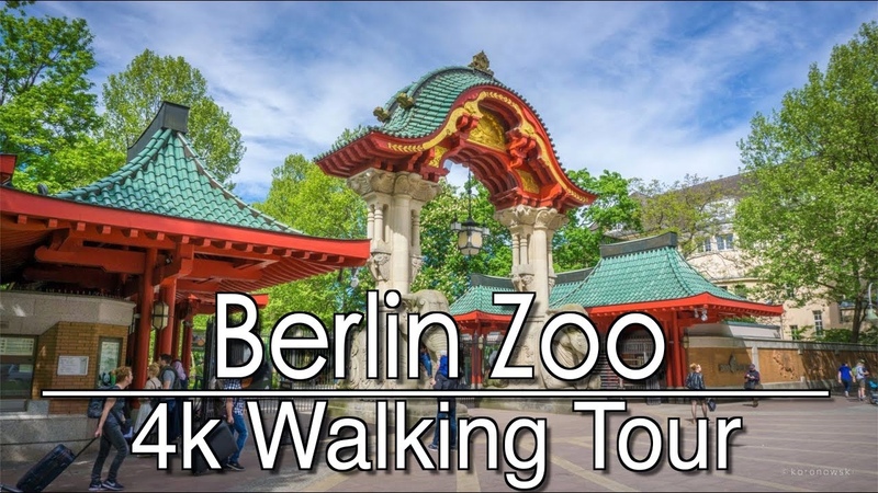 Walking Around Berlin Zoo, 4k, Ambient