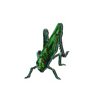 Александр Морозов