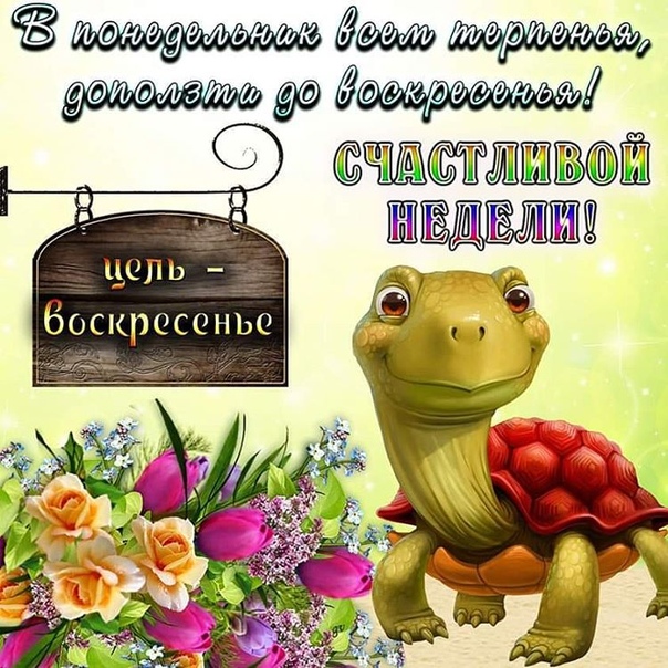 часто картинка про понедельник и весну цветами для композиции