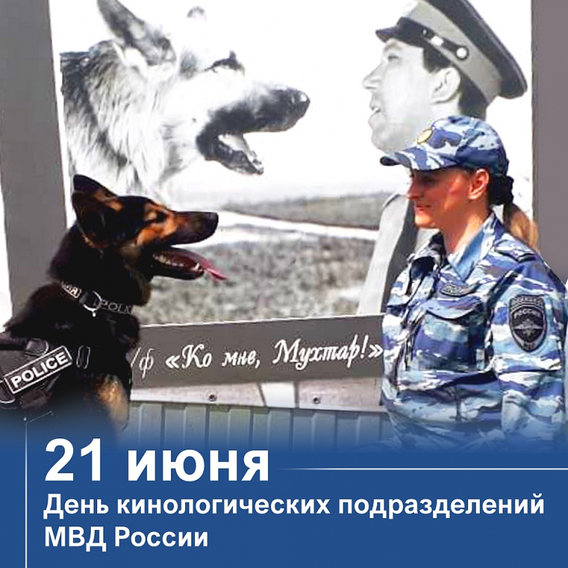 Собака день кинолога. День кинологии поздравления. С днем кинологической службы.