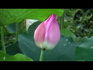 những hồ đẹp bạn không thể bỏ qua