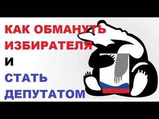 Как обмануть избирателя и стать депутатом