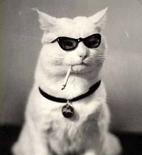 Александра Волкова