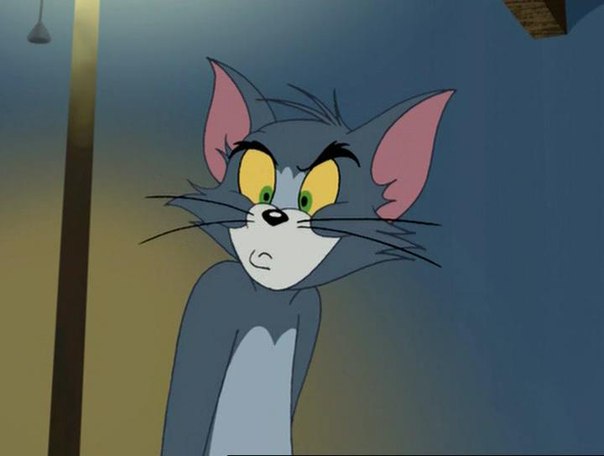 Александр Котов, Россия, Волгодонск