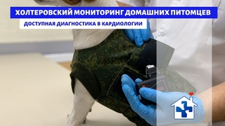 Холтеровский мониторинг домашних животных. Обзор оборудования. Россия, Крым