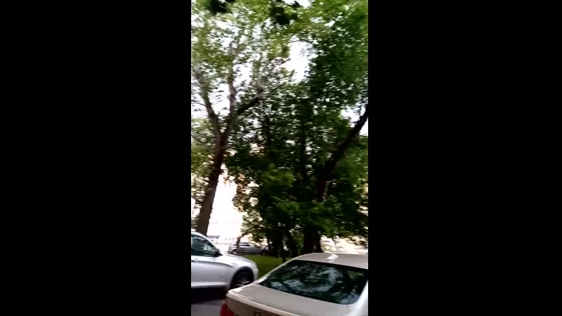 Улица Лизы Чайкиной 07 07 2020