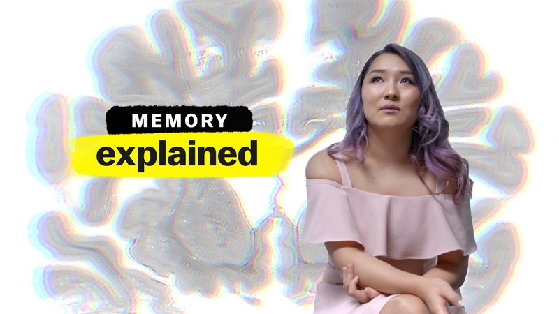 Memory, explained, Narrated by Emma