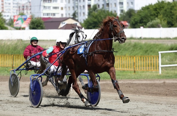 соревнования по акробатическому рок-н-роллу. манеж пожарно-спасательного спорта. газодымозащитная служба. лыжники соревнования. спортивный комплекс сибирский нефтяник омск.