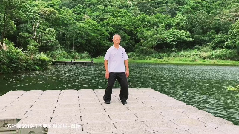 方祖豪2019 - 鄭子太極拳之打不完的攬雀尾單鞭